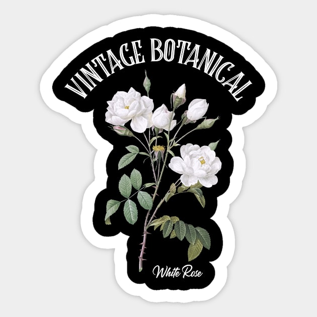 Vintage Botanical White Rose Sticker by letnothingstopyou